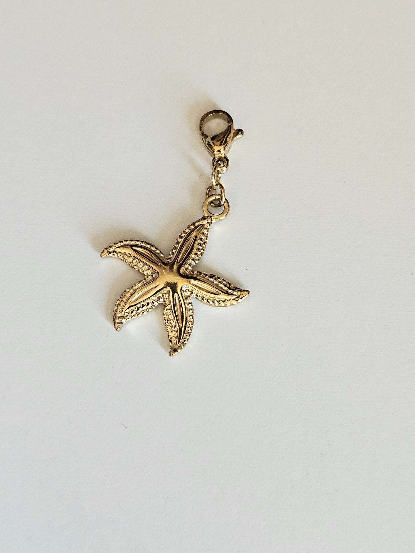 Charms étoile de mer