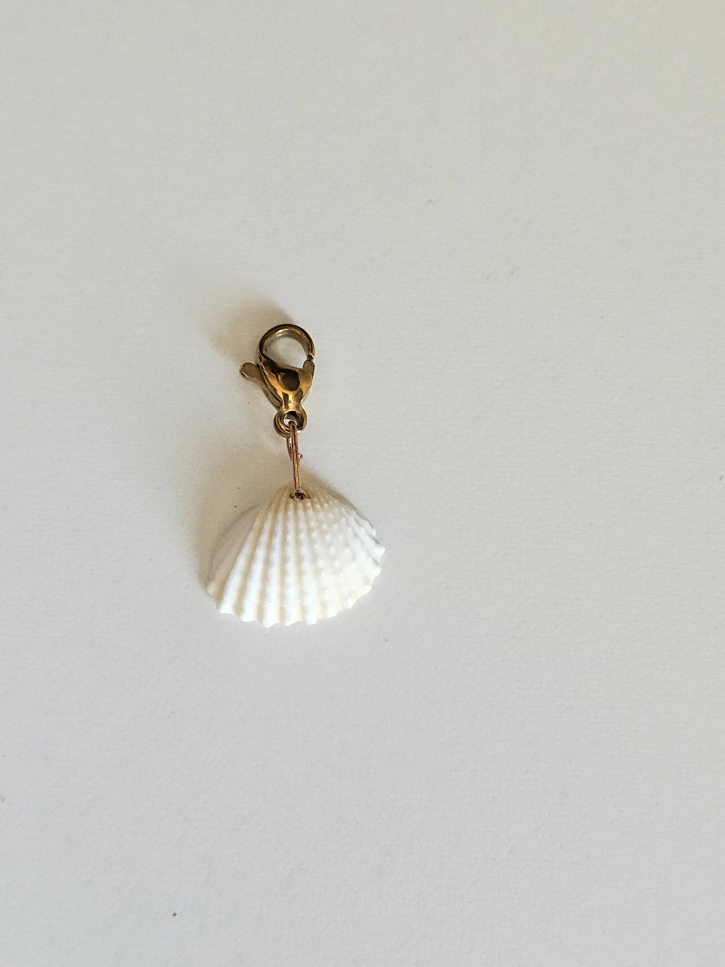 Charms coquillage blanc