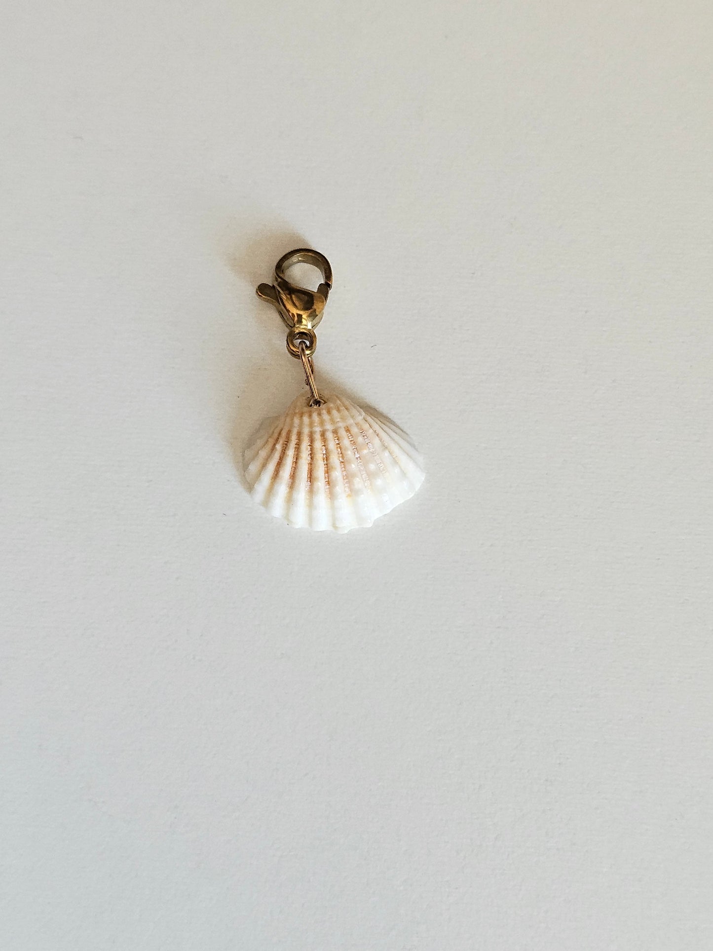 Charms petit coquillage blanc