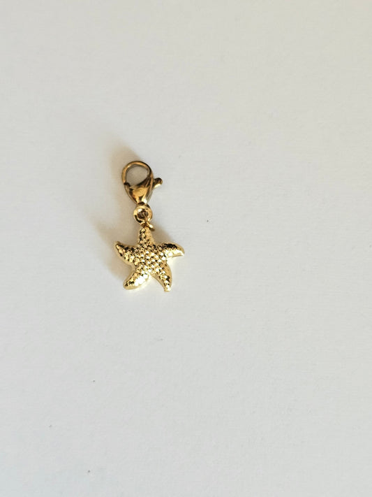 Charms étoile de mer