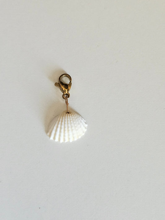 Charms coquillage blanc