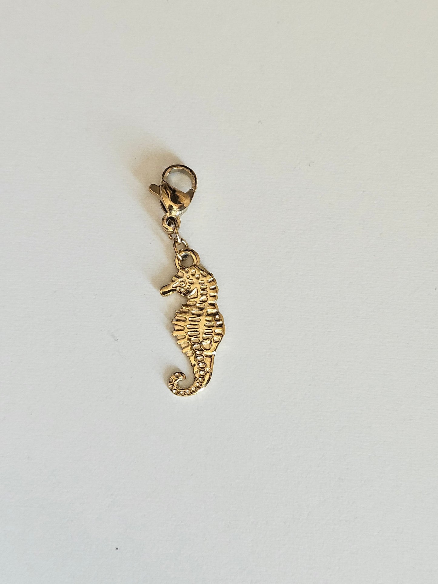 Charms hippocampe